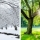 A Year's Weather Predicted by Twelve Days of January